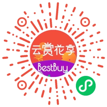 扫一扫